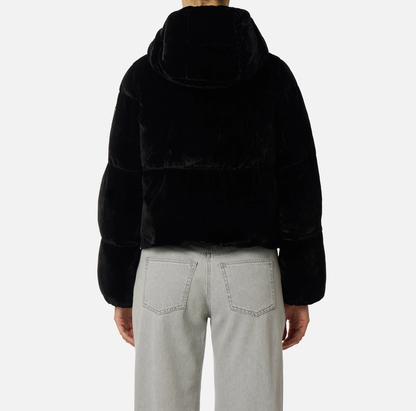 ELISABETTA FRANCHI  PI82D56E2 - PIUMINO IN VELLUTO